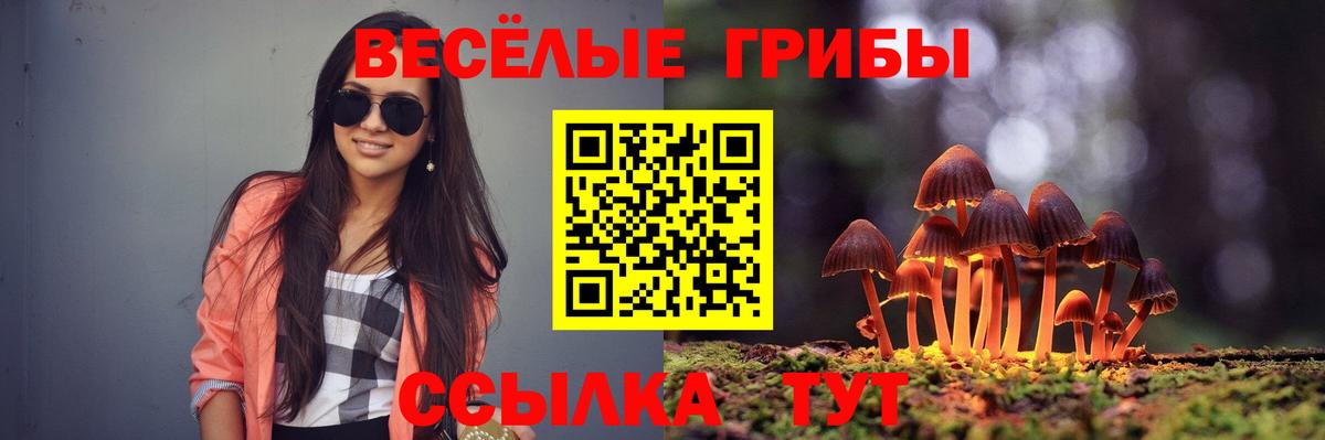 Псилоцибиновые грибы Psilocybine cubensis  Вход с VPN  Псилоцибиновые грибы MAGIC MUSHROOMS  Донецк 